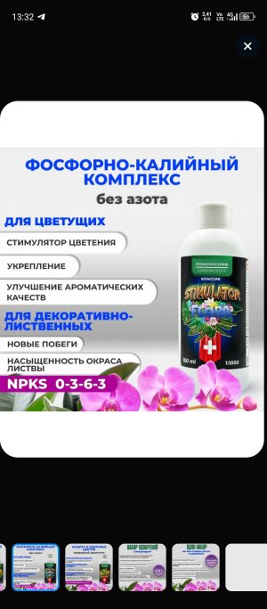 Screenshot_20250130-133250.jpg