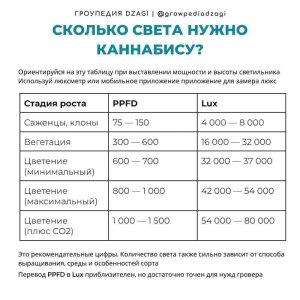 1000017210.jpg