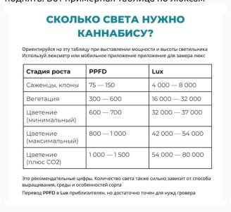 Screenshot_2025-04-11-11-28-58-996_ru.semena.sch-edit.jpg