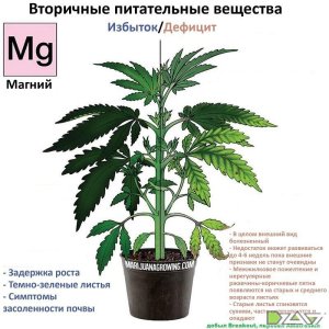 IMG_20230629_171433_039.jpg
