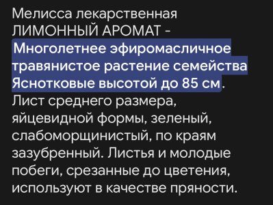 IMG_3705.jpeg