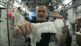 1_0.gif