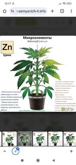 Screenshot_2025-09-25-12-17-43-132_com.android.chrome.jpg