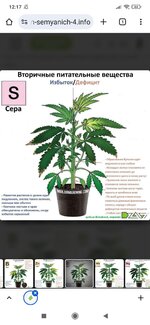 Screenshot_2025-09-25-12-17-46-297_com.android.chrome.jpg