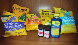 IMG_20251113_155432.jpg