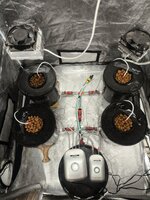 IMG_20251126_093508.jpg