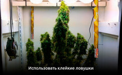 4__KhpC8jhCaNNu2jOE.jpg 4__KhpC8jhCaNNu2jOE.jpg