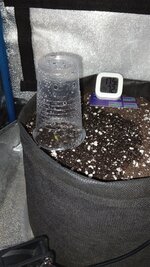 1770890513113.jpg