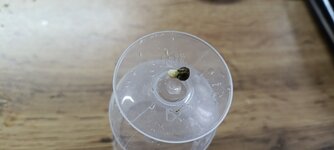 IMG_20260222_104617.jpg