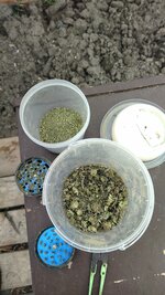 IMG_20260328_112028.jpg
