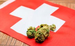 swiss.jpg swiss.jpg