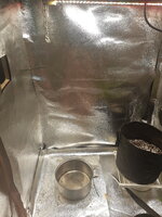 1000004176.jpg