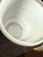 IMG_2841.jpeg