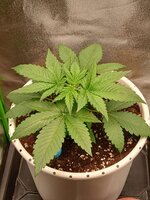1000016310.jpg
