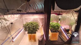 2026-10-02_aya-01_flo-w06d46_setup_04.jpg