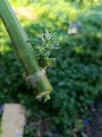 1000011293.jpg
