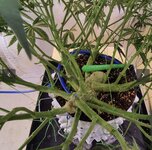 IMG_3128.jpeg