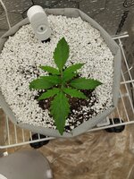 728.jpg