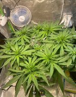 IMG_7430.jpeg