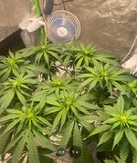 IMG_7436.jpeg