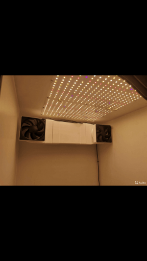 5F5566AE-A2C4-4543-A073-4EDF9E0D22AE.png