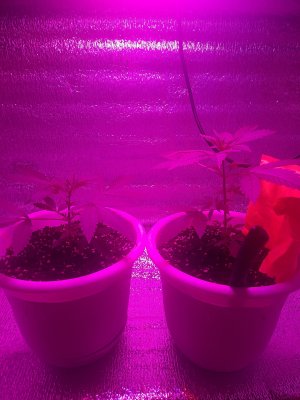 20221001_153041.jpg