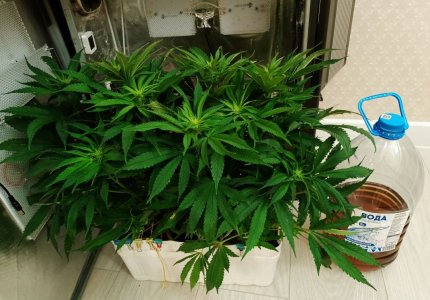 imgonline-com-ua-dexifcx7uu5gqG3Bn.jpg