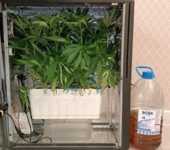 imgonline-com-ua-dexiffto9U1VhSObQ.jpg