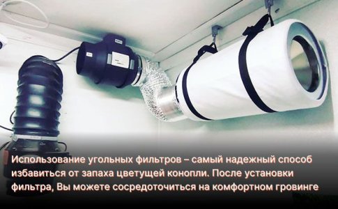 Угольные фильтры для нейтрализации запаха конопли Угольные фильтры для нейтрализации запаха конопли