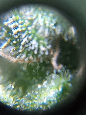 mir_20230531_095530.jpg