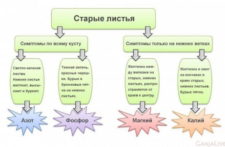 79fd9548-932c-4b3e-ab8e-c736fe95b56b.jpeg