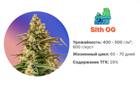 Sith OG Sith OG