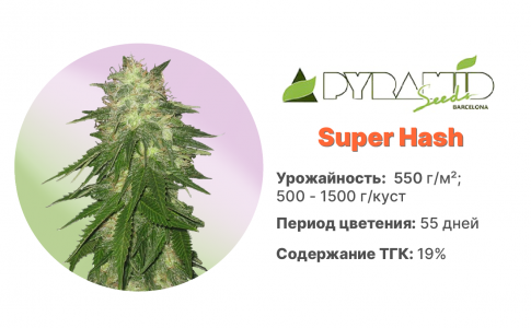 Super Hash Super Hash
