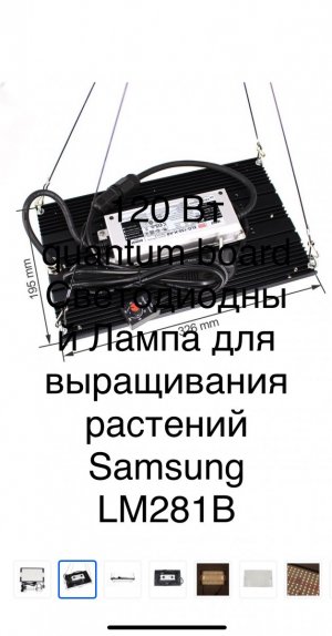 IMG_0442.jpeg