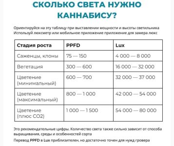 IMG_5745.jpeg